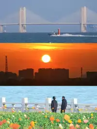 防止你失業後在泉州不知道做什麼（合集）