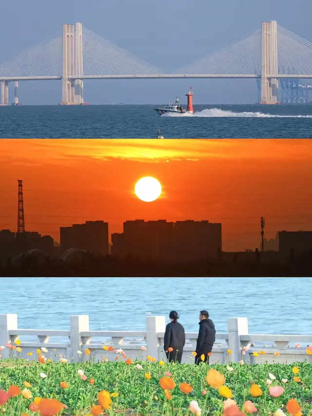 防止你失業後在泉州不知道做什麼（合集）