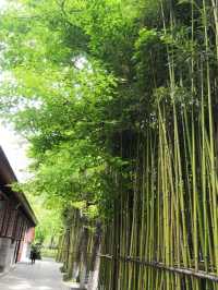 西安博物院覓幽靜