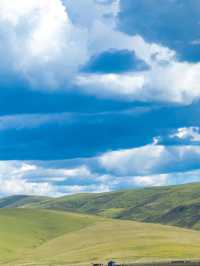 油畫般的「宗塔七色草原」是戶外人遛狗樂園