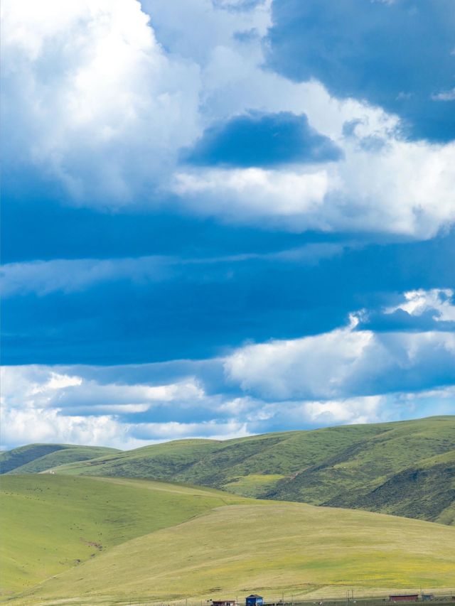 油畫般的「宗塔七色草原」是戶外人遛狗樂園 油畫般的「宗塔七色草原」是戶外人遛狗樂園