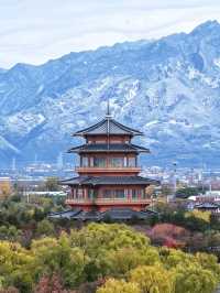 西安渼陂湖|私藏「小江南」被我找到了!