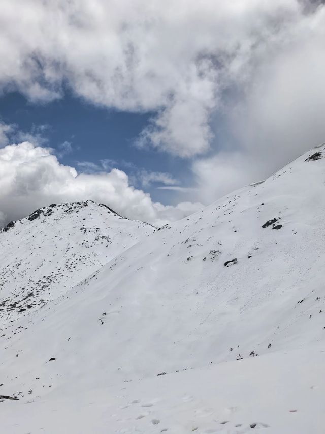 林芝3日遊這篇攻略讓你玩到盡興 林芝3日遊這篇攻略讓你玩到盡興