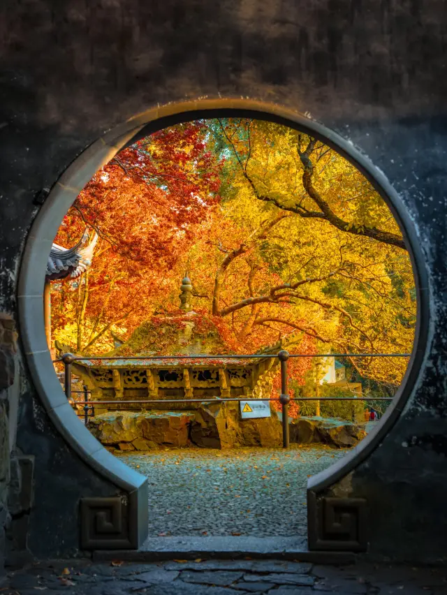 Walked 100,000 steps for these 13 photos