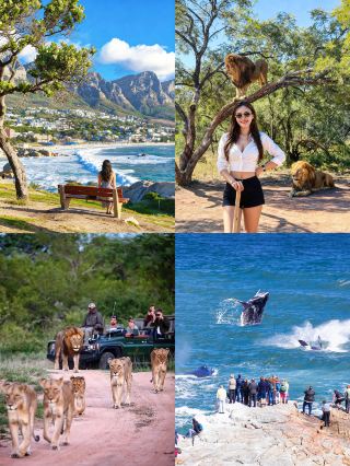 Who understands? South Africa's land and sea safari moments happen every day