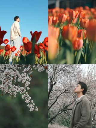 การผจญภัยตามหาดอกไม้ในช่วงสุดสัปดาห์ | ภาพที่ได้จาก Panasonic S9 คมชัดระดับฟิล์ม น่าทึ่งมาก!