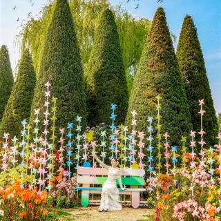 베이징 봄철 최고 인기 세계 화훼 대관원은 사진 찍기 너무 좋아요!