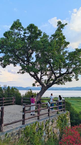 เว่ยหนิงเฉาหยี่