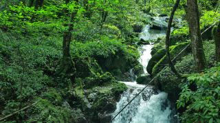 This is such a magical place, living here is a daily visual feast