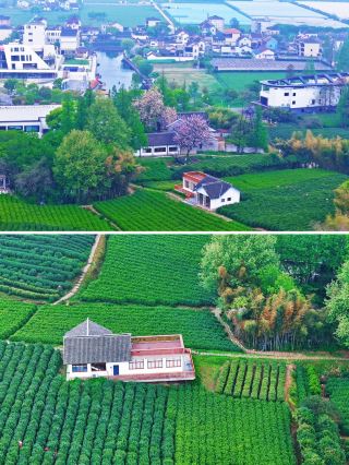 Jiaxing Wengjin Line, a scenic highway in the Yangtze River Delta region: a route connecting Pinghu and Haiyan