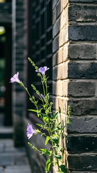 정딩 5월 슬로우 트래블 가이드 | 한 도시에 당송 시대 건축물 10채, 인파는 적고 아름다운 풍경이 펼쳐지는, 마치 시간 여행을 떠난 듯한 경험!