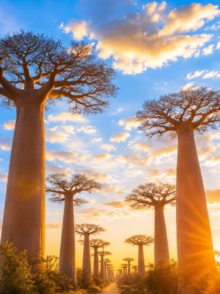 11-day summer trip to Madagascar: an unforgettable experience