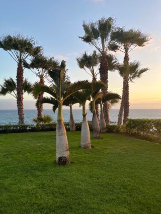 Exceptional Stay at a Stunning Hotel