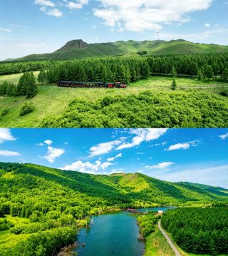 北京 4h 直達｜16℃壩上童話森林避暑攻略