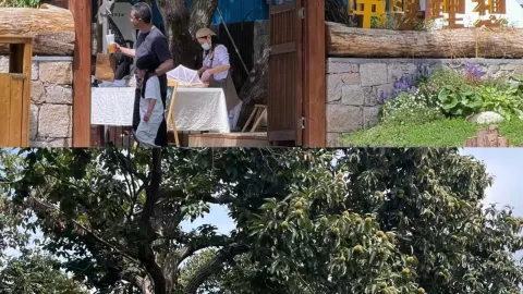 묵림서원의 은밀한 서향기 — traveler post in 린수