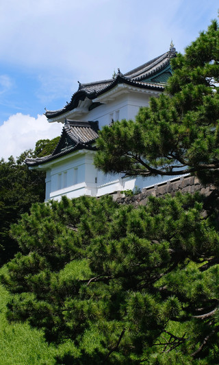 參觀日本皇居｜咁啱見到外國大使晉見天皇
