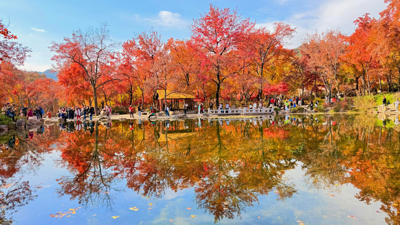 黄色い壁の古刹と紅葉の湖畔、蘇州の秋はここにあり | Trip.com 蘇州