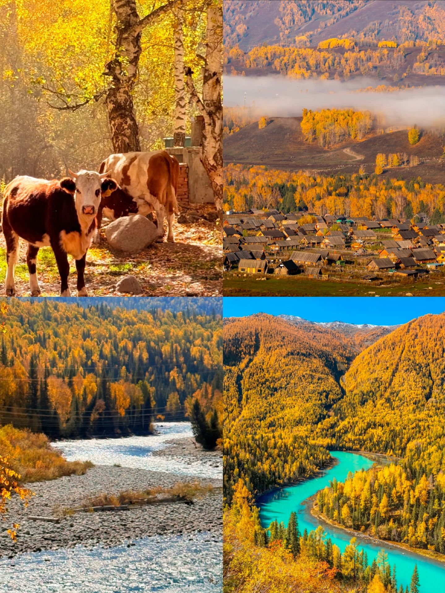 Just got back from Altay, and it was a real ordeal—I really don't recommend going in Oct–Nov because it's just too...