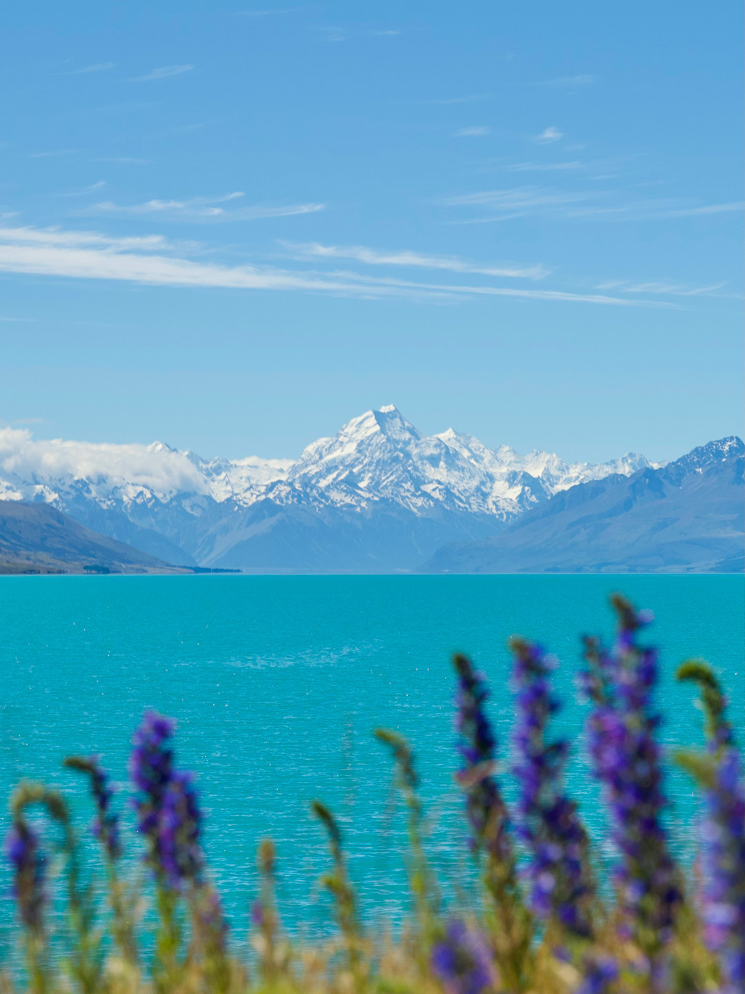 Grup Kecil Eksklusif Berkualitas! 8 Hari Menjelajahi Pulau Selatan Selandia Baru Tanpa Ribet.
