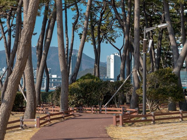 부산 산책하기 좋은 동백섬, 데이트 코스로 좋아