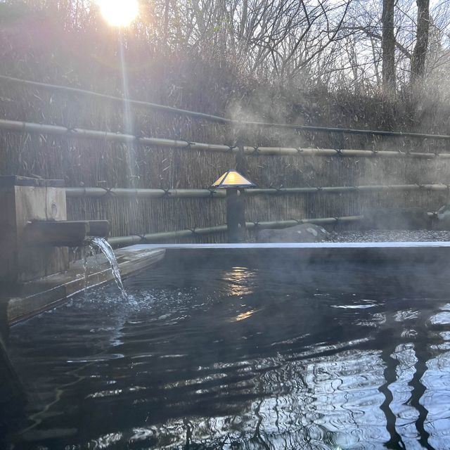 藏王風呂付客室天花板