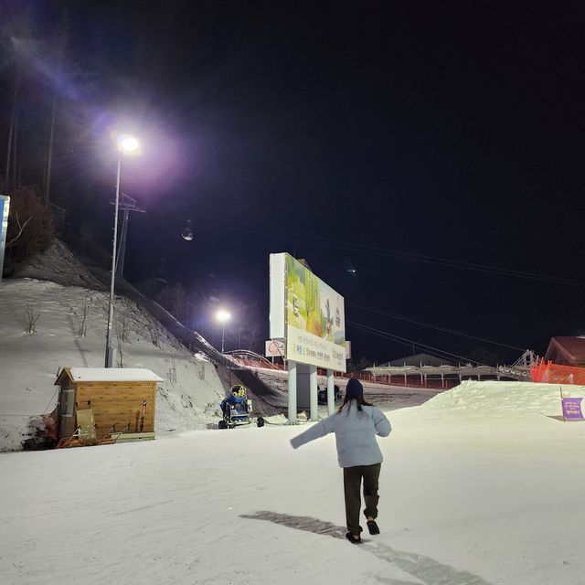 올 겨울은 정선 하이원스키장으로💕