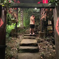 The Tree Top User Photo