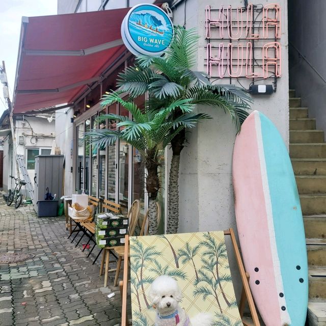 【望遠洞】小さなハワイ🌴隠れ人気のハワイアン店🏖️