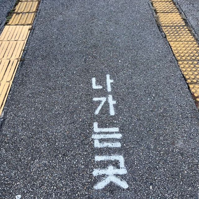 원주레일파크 ✨🛤️