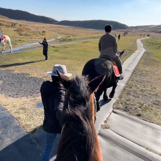 日本阿蘇｜火山騎馬體驗🏇
