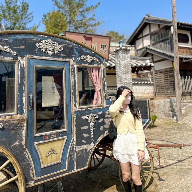 모든 곳이 포토스팟인 논산 선샤인랜드 ✨