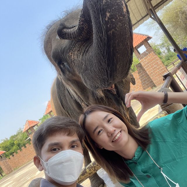 ซาฟารีปาร์ค กาญจนบุรี 🦒🦓🐘🐅🐆🦁🦌🐪