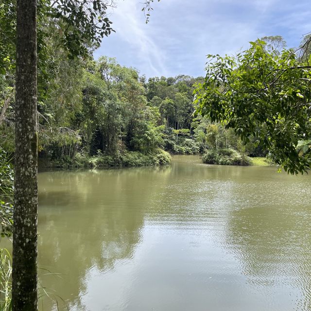 Kuranda your way to the railway!