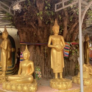 무앙콰(Muang Khua)는 퐁살리(Phongsaly) 지방 쿠아(Khua) 지역의 포사이 느아(Phoxai Nuea) 마을에 있는 유명한 사원입니다.