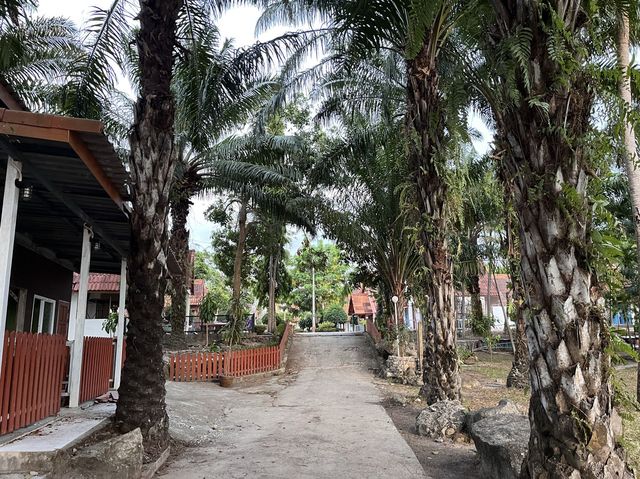 Armana Resort