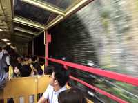 สวนป่าไผ่ &สะพานแม่น้ำสุขใจ @ARASHIYAMA