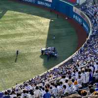 【横浜】台風一過の野球観戦・横浜スタジアム