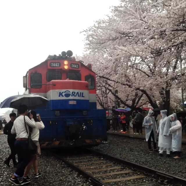 Gyeonghwa Train Station in Jinhae