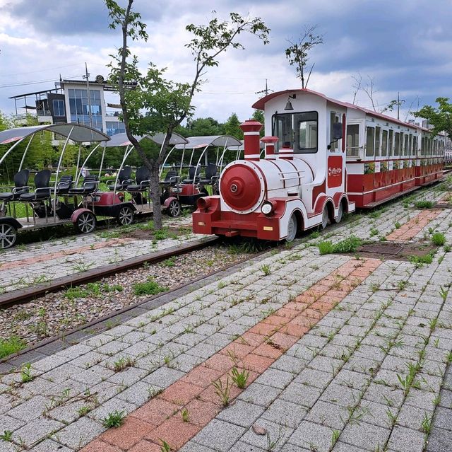韓國景點😍義王鐵道自行車☺️40分鐘邊踩單車邊睇靚風景📸