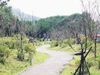 Hiking in Yangmishan, Taiwan