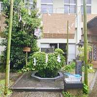 【東京都/東神社】数少ない東京での湧水溢れる神社