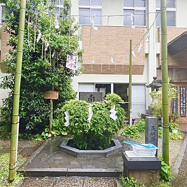 【東京都/東神社】数少ない東京での湧水溢れる神社