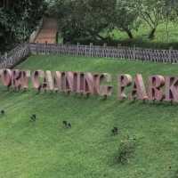 📝 福康寧公園🌳✨ 螺旋樓梯打卡位✨