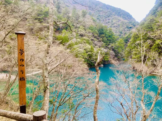 【静岡】絶景の吊り橋♡