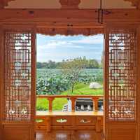 전주 가볼만한곳 덕진공원 연화정도서관