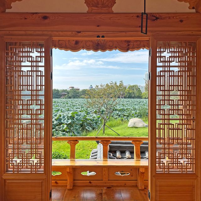 전주 가볼만한곳 덕진공원 연화정도서관