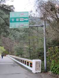 梨山之美