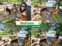 📌One Day Trip ที่ DUBUA CAFE  | นครปฐม