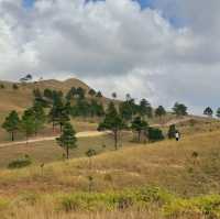 Phuong Hoang Hills