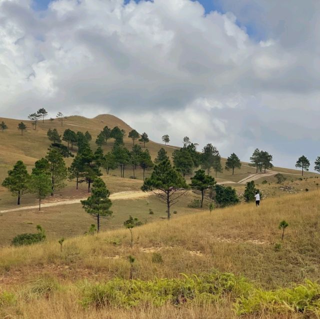 Phuong Hoang Hills